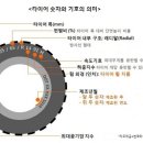 자동차 타이어의 숫자와 기호의 의미 이미지