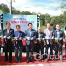 서부초교 이미지