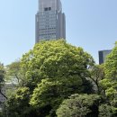 [ Trip to 도쿄 ] 매일 3만보씩 🦶🏻 공원투어🌳