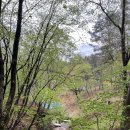 (주)삼도디엔씨 춘천숲자연휴양림 | 춘천숲자연휴양림] 춘천캠핑장 시립캠핑장 춘천휴양림...데크위치 주차 이용후기 예약방법 골프카트이동...