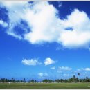 하늘그림 이미지