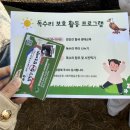 독수리 | 파주 독수리식당 후기｜겨울에만 볼 수 있는 독수리 탐조 명소