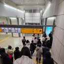 혜성약국 | [도쿄 디즈니씨] 12월 15일 월요일 방문, no오픈런 후기