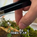 원데이그린