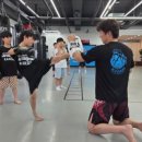 강일태권도 네이버블로그