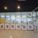 다솜생태체험관 이미지