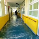 소호초등학교 | 울산청소업체 깨끗한세상 소호초등학교 천정 석면 공사 대청소 후기