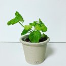 소일섬 이미지