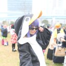 토우카(とうか) 이미지