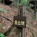 평택 트리 하우스 &lt;톰소여&gt; 내돈내산 생생후기!!!