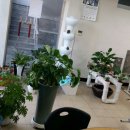 이상열농장 이미지