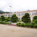 자천초등학교 이미지