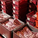 차진열농장 이미지