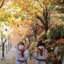 최강키즈태권도장 이미지