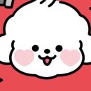 링크애견샵 이미지