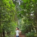 구좌의원 | [제주도] 우당탕탕 3대의 9월 3박4일 제주도 여행_3~4일차(일정, 식당, 스냅 등)