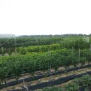 병근 농장 이미지