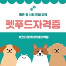 [전문가과정] 펫푸드 스타일리스트 2급 자격과정 | 펫푸드자격증 종류 및 시험 준비 방법