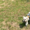 아지야스튜디오 이미지