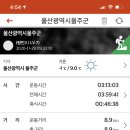 한국사슴 네이버블로그