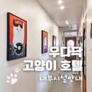우다닥 고양이호텔 | 송파 강동 강남 하남 광진 서초 고양이미용 부터 호텔링까지 가능한 &#39;우다닥고양이호텔미용&#39;