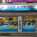 노원세탁 이미지