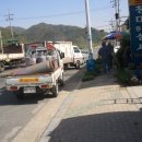청마상사 이미지