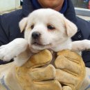 화상천로 이미지