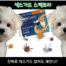 신사약국 이미지