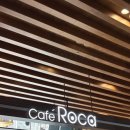 로카와 델피노1 이미지