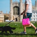 (6/7th Sun) Why Walking Is So Good for Our Health 이미지