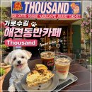 신사-101 | [강남/신사] 가로수길 애견동반 가능 카페 따우전드 신사점, 미국감성 파이 맛집 내돈내산 솔직후기