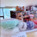 활기찬 용인대 KOREA 태권도 | 종암동태권도/K.A.T 태권도/용인대K.A.T태권도/ KAT태권도/종암동핫플/성북구태권도/KAT