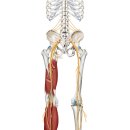 이웃집한의원 이미지