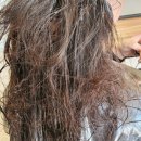 엘리스헤어 이미지