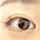 보미리즌빌 화장실 | [위례속눈썹펌] 래쉬더샤샤&amp;스킨 :) 위례송파속눈썹펌 잘하는 곳