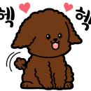 정직유부 정관점 이미지