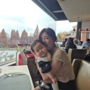 한국모유수유정보센터 | 🐟모유수유 중 대방어회, 먹어도 될까? 몇 점까지 괜찮을까?(신빙성 자료 기반)