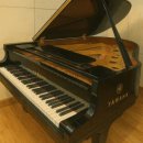 군포문화예술회관 철쭉홀 | 🎼 제13회 모차르트 한국콩쿨 안양·군포지부대회 안내+ 군포문화예술회관 인근 워밍업 장소 추천