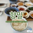 경주황리단길맛집내돈내산 향밀 고등어구이정식