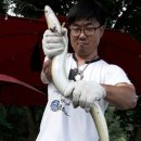 대물장어 이미지