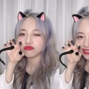 지원둥이➰💖 이미지