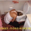 주당천하