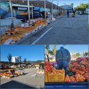 10/31- 광양 백운산, 대봉감 수확 준비, 부부식당 다슬기, 콩 베고 털기 이미지