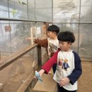 나눔염소농장 이미지