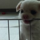 꿀벌집 이미지
