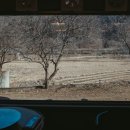 강촌토종닭갈비 | 강촌 닭갈비 맛집, 31년 전통 맛과 가성비 좋은 강촌토종닭갈비