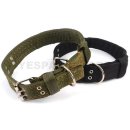 예스예스애견 이미지