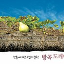 방곡도깨비 마을 파이낸셜뉴스