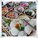 윌횟집 | 경포대 오션뷰 맛집 신선한 회와 바삭한 튀김까지 완벽했던 윌횟집 후기^^!